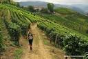 Consorzio strade vicinali di Barolo